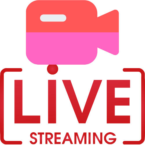 Stripchat Replay